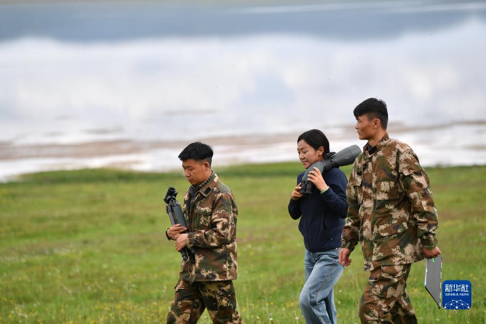 尖锋捕鱼游戏